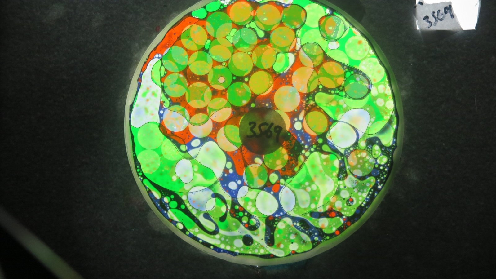 BV3569 bubble vision oil wheel